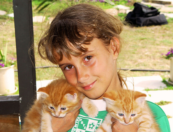  CHEYENNE AND A PAIR OF KITTIES