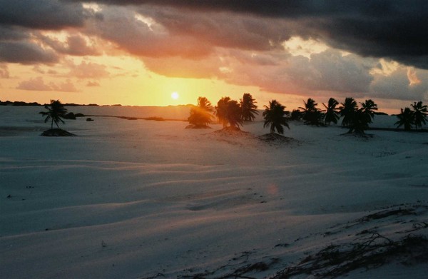 Por do Sol e Areia, Mangue Seco