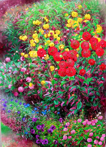 Red dahlia