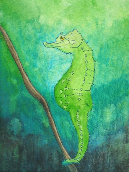 Gramps (seahorse) reverse