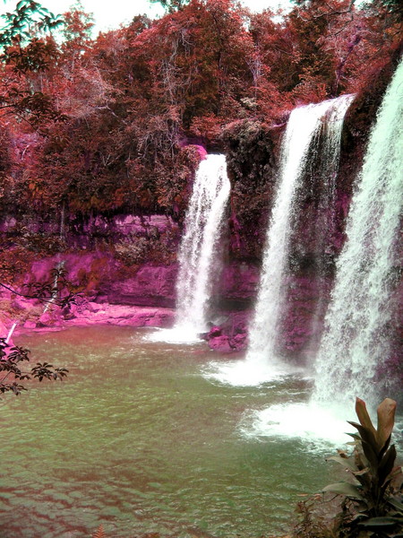 Fairy Falls