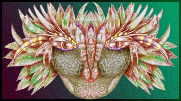 Face with Feathers