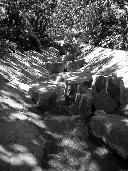 Over the river n through the woods
