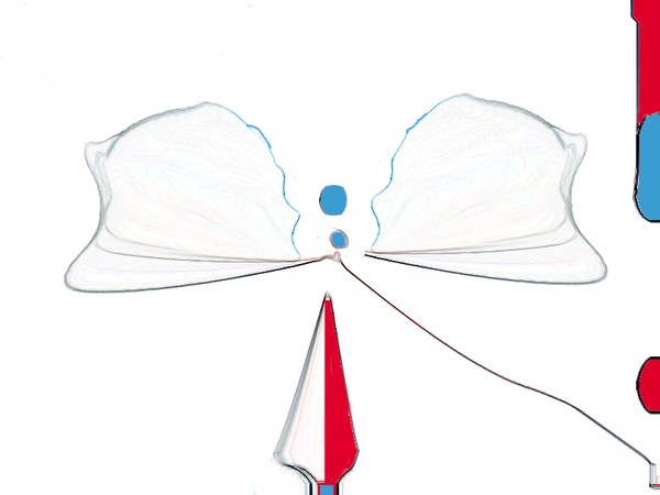 Borboleta