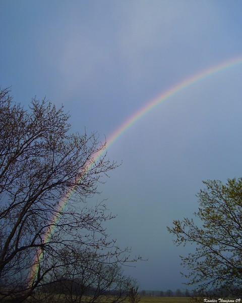 Rainbow 3