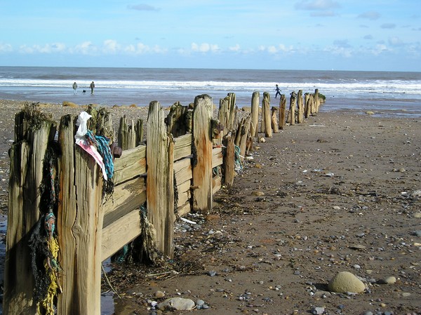 Down to the sea