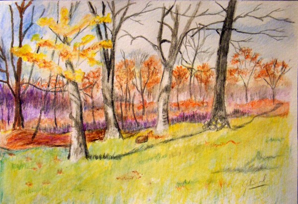 Winter Woodland