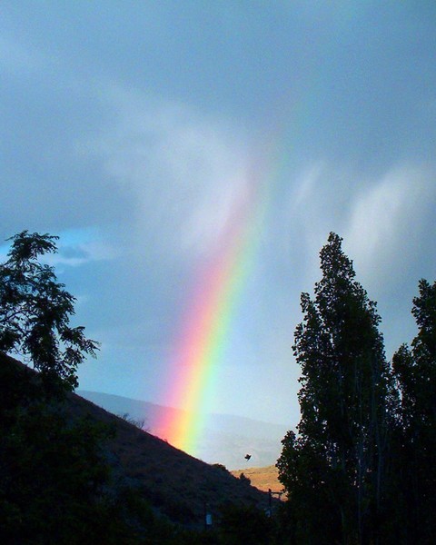 Beauty of the Storm