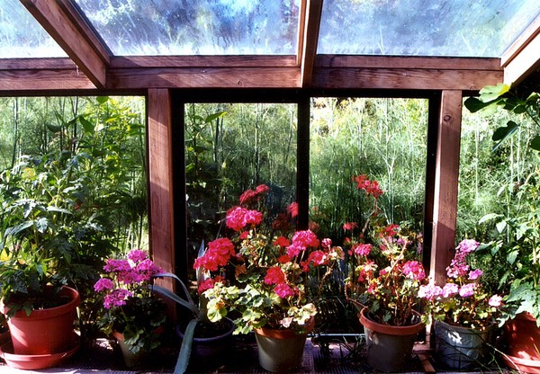Greenhouse