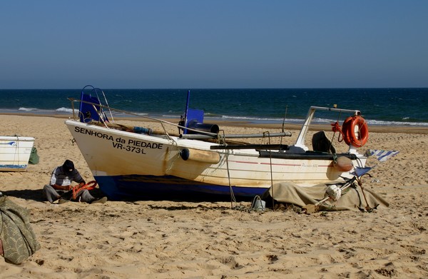 beach life