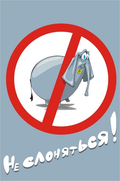 no elephant