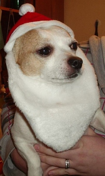 MERRY CHRISTMAS!!!!!!