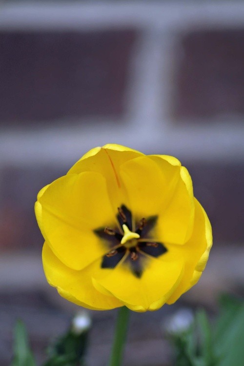 April 25 2020