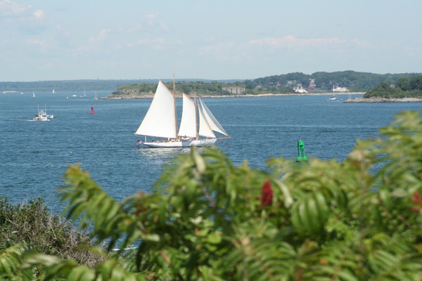 Fort   Willians 5