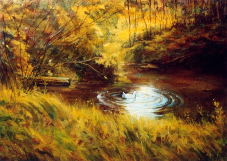 The Duck Pond