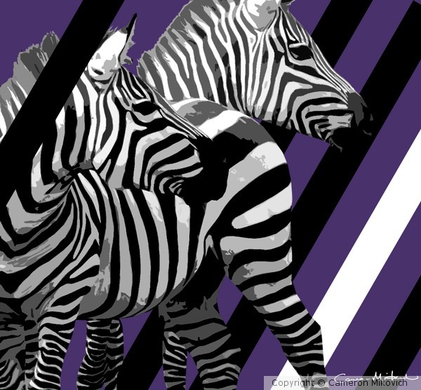 zebra v2