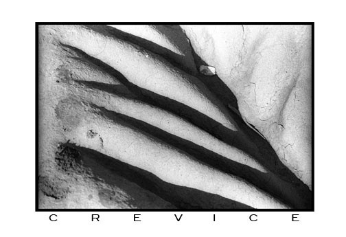 Crevice