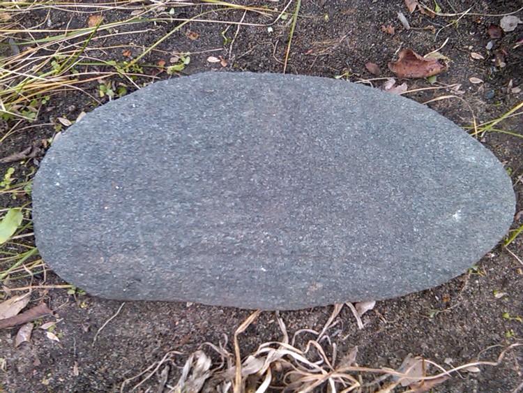 IMG01388-20101121-1343