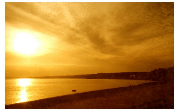 GOLDEN SUNSET