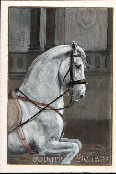 Lavade