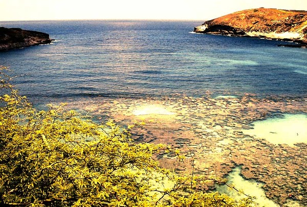the island