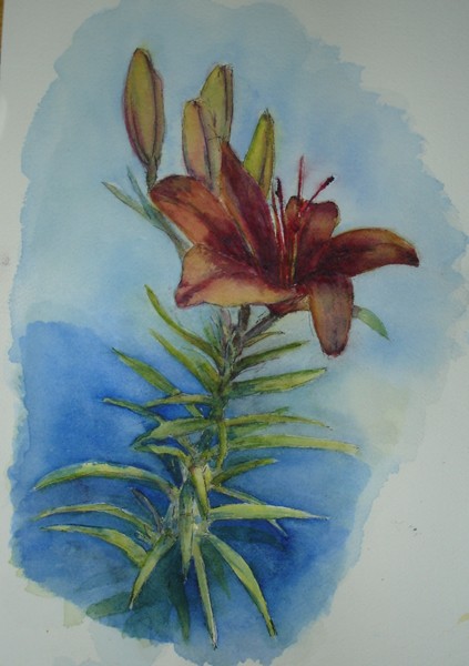 Sketchbook Series:  Lilly