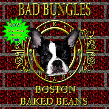 BAD BUNGLES BOSTON BAKED BEANS