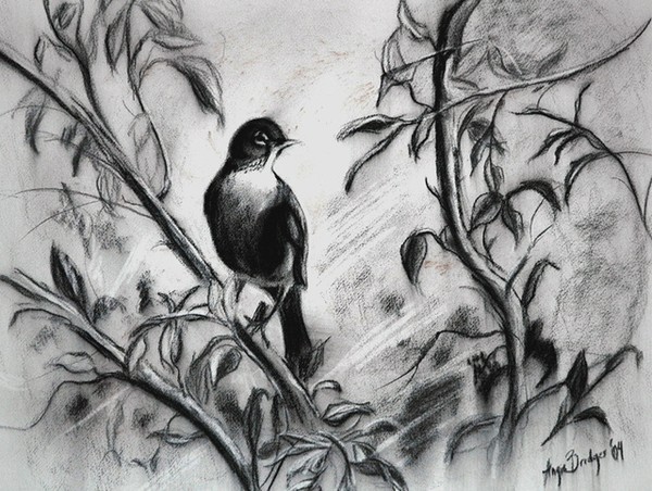 The Bird