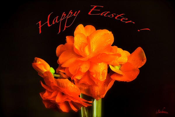  Happy Easter !