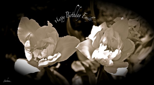  Happy Birthday Emily !