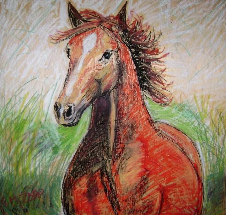  Il cavallo selvaggio 2010