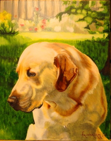storm yellow lab