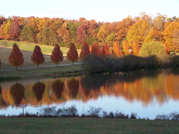 My Private Lake