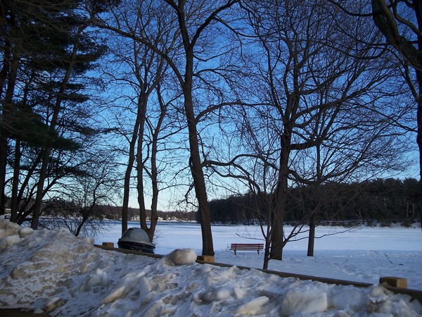 Shades Of Blue