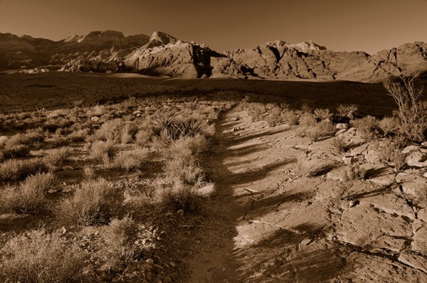 A Walk In The Wild West
