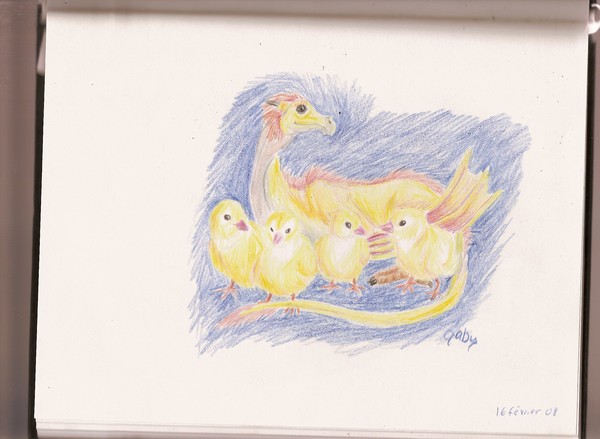 poussins 