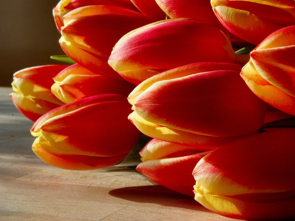 Tulips....