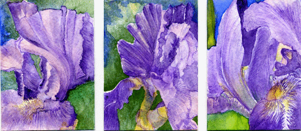Iris Time in Tennessee