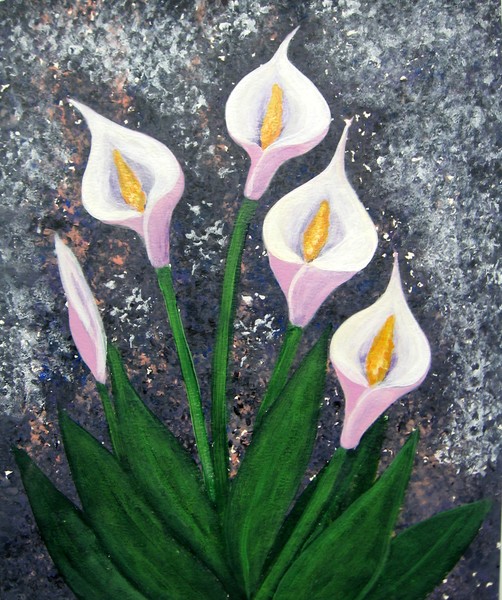 Calla Lilies