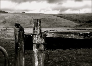 Highway 1 Farm 