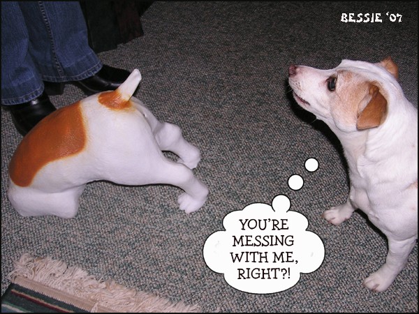 That's Just Wrong!