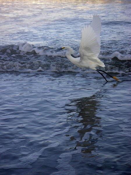 Take Off At Dusk