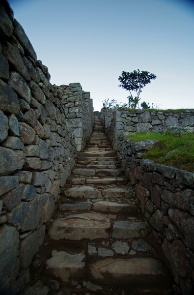 IMGP2377