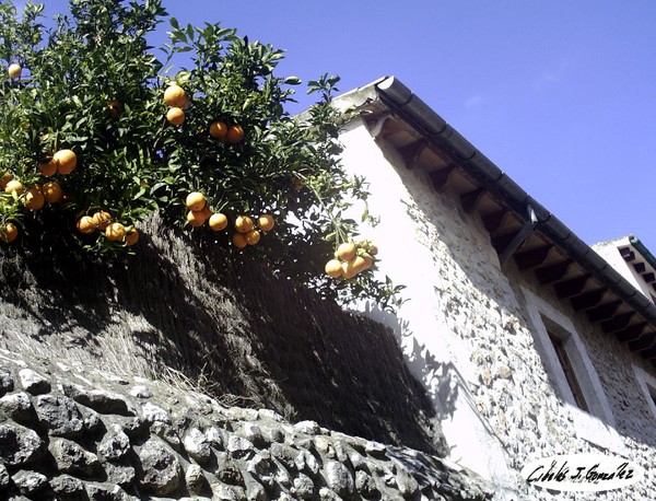 Rural Spanish Orange House
