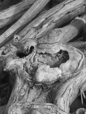 knot