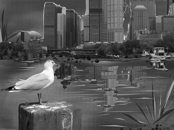 CITY REFLECTIONS.