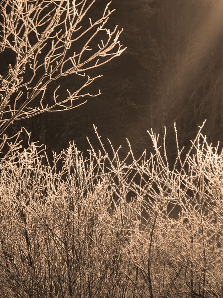beem of light 