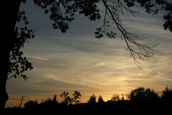 Beautiful Sunset