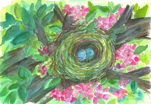 Birds Nest Blooming Tree 