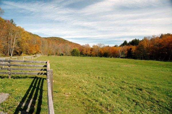  Fall Colors
